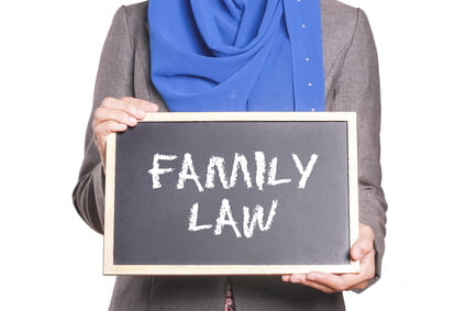 Maine Family Law Help